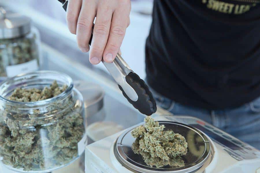 Top Dispensaries in California