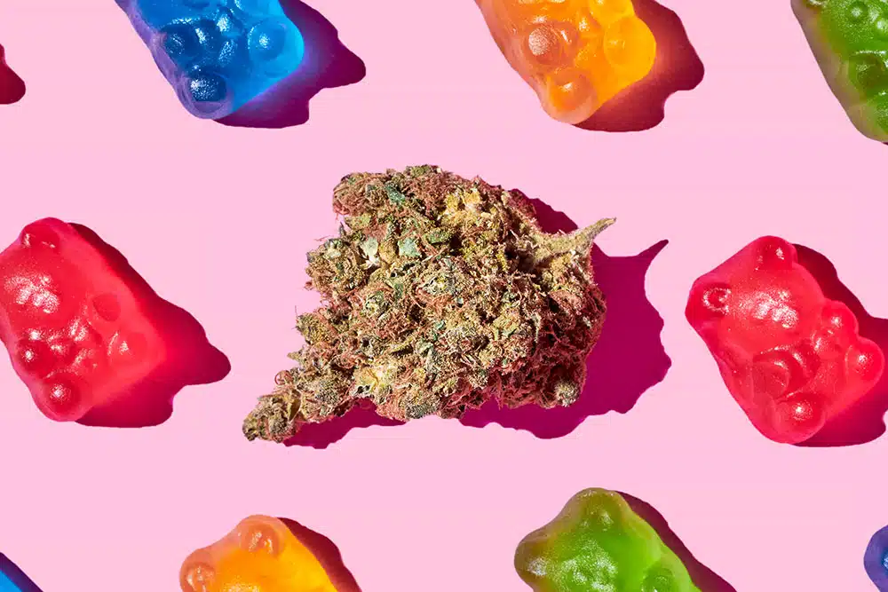 5 Types of Cannabis Edibles for You to Enjoy