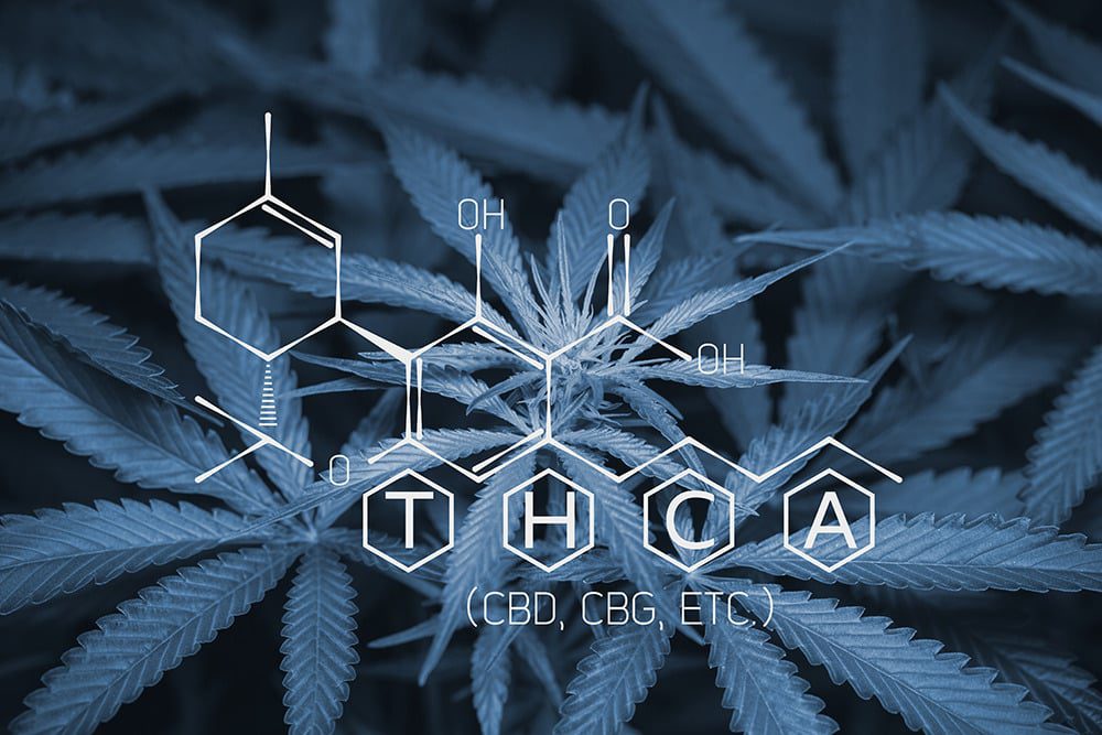 What is THCA and What Are its Benefits?