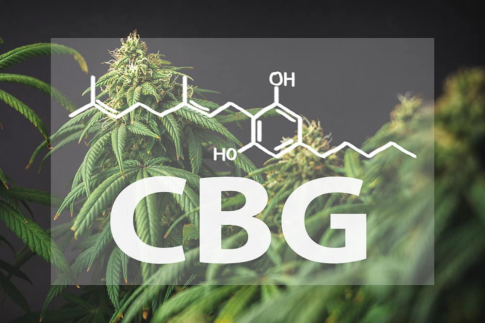 What is CBG?