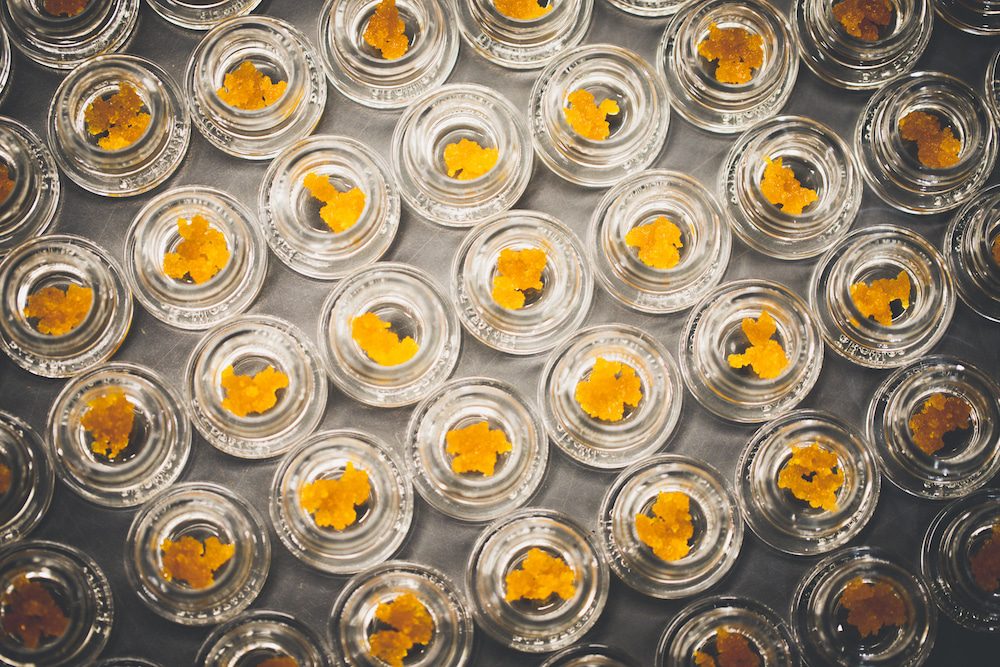 3 Things You Should Know About Full-Spectrum Cannabis Extracts