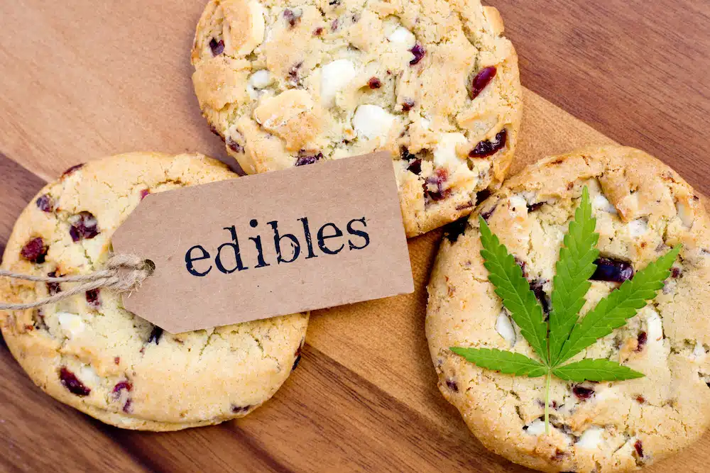 Wanting to Try Edibles for the First Time? Check Out Our Easy 101 Guide!