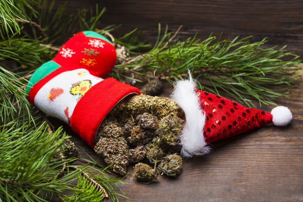 big cannabis cone christmas decoration. marijuana close up. hemp buds.