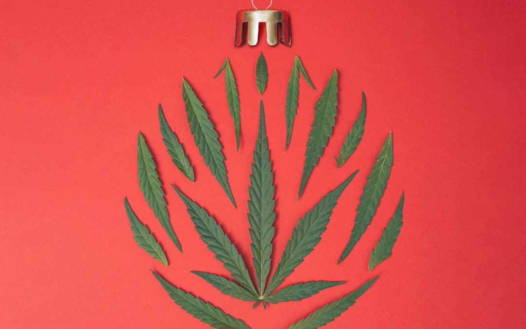 Holiday Cannabis Shopping Guide: Festive Gifts & Top Products | From The Earth