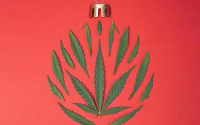 Holiday Cannabis Shopping Guide: Festive Gifts & Top Products | From The Earth