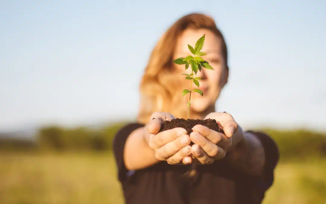 Comparing THC vs. Alcohol: How Cannabis Can Support Healthier Celebrations